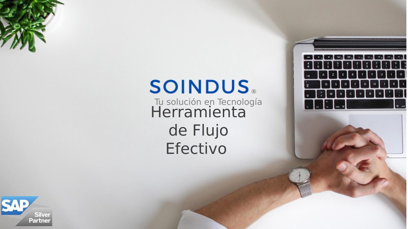 Estado Flujo Efectivo SAP — diapositiva 2