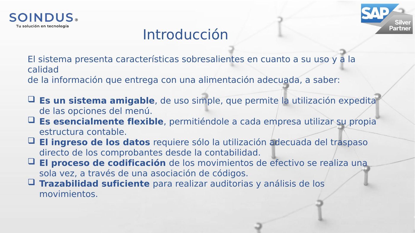 Estado Flujo Efectivo SAP — diapositiva 4